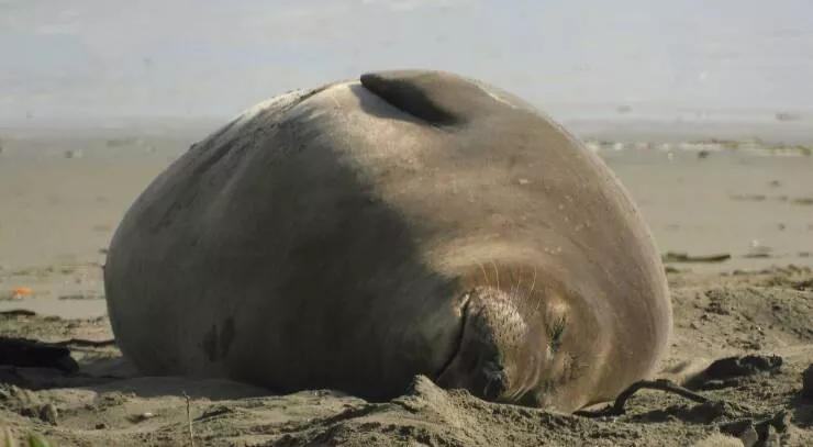 Picdump 1038 - #59 
