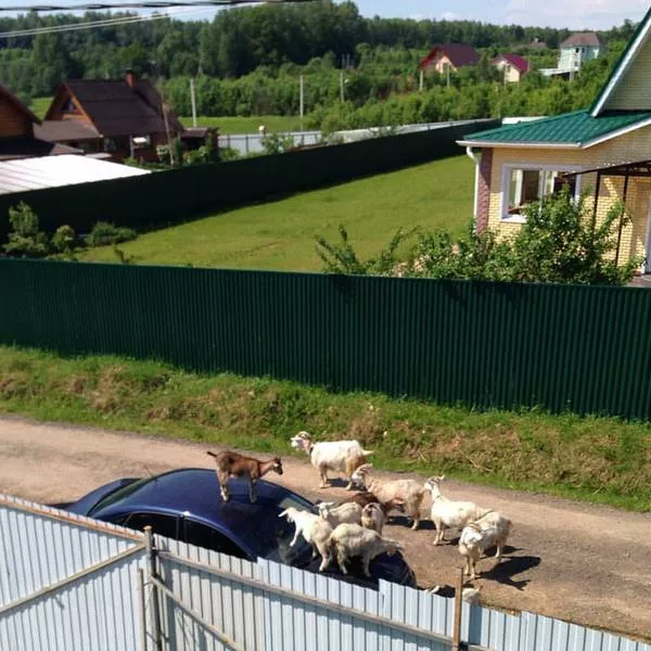 Picdump 126 - #14 