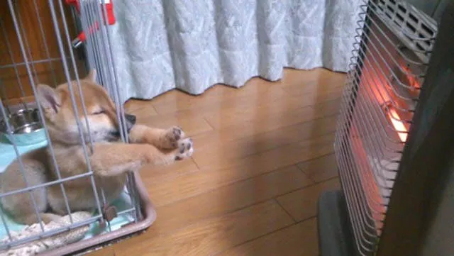 Picdump 126 - #16 