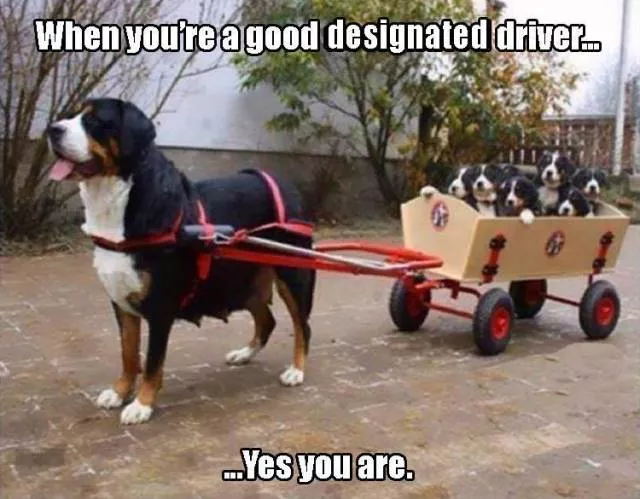 Picdump 126 - #67 