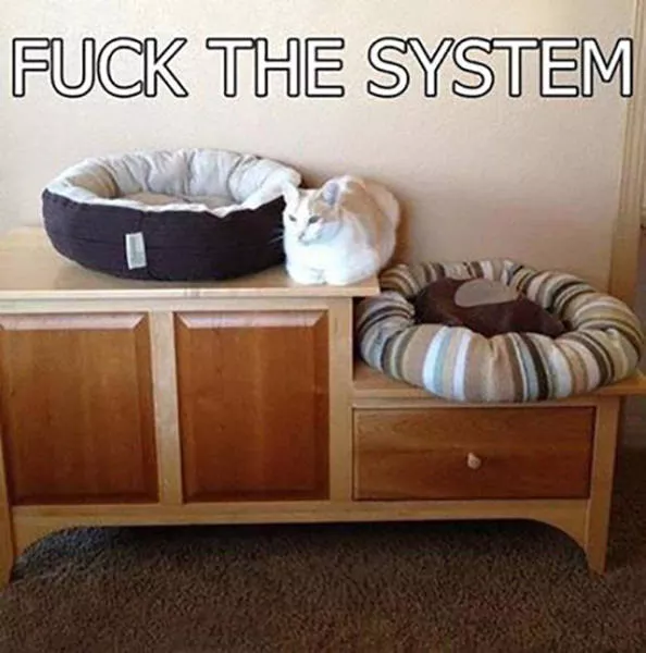 Picdump 126 - #71 