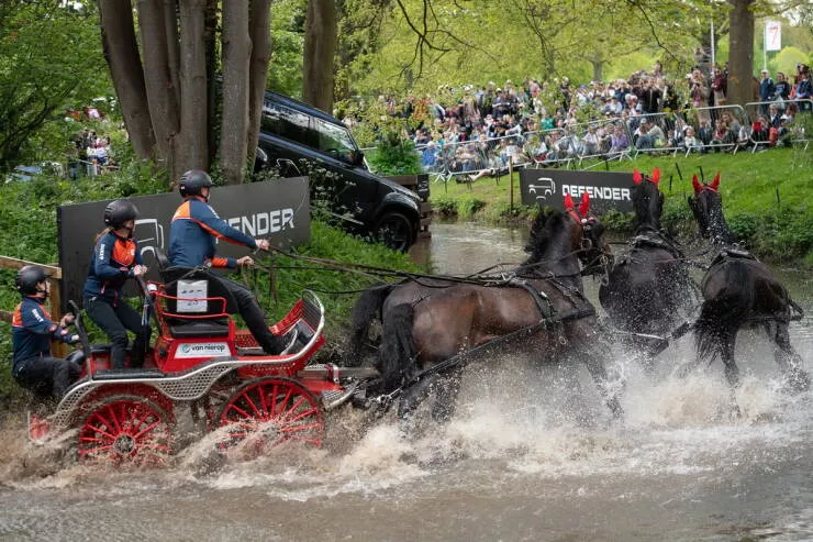 Picdump 1039 - #15 