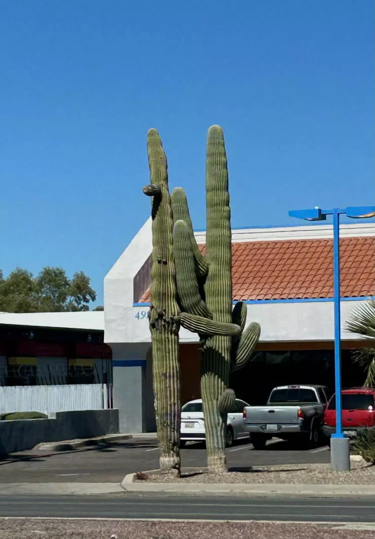 Picdump 1039 - #22 