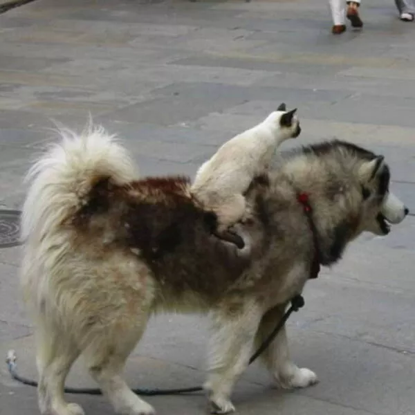 Picdump 1039 - #5 