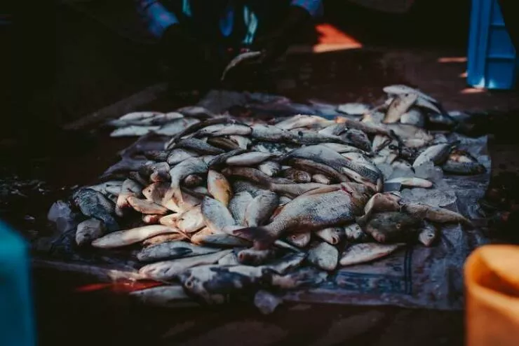 Weird traditions and wacky stats nations uncovered - #12 