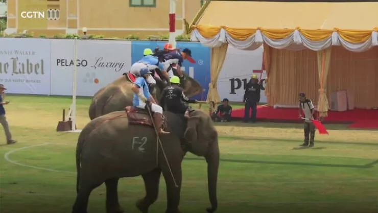 Des coutumes insolites aux chiffres fous les pays comme vous ne les avez jamais vus - #18 