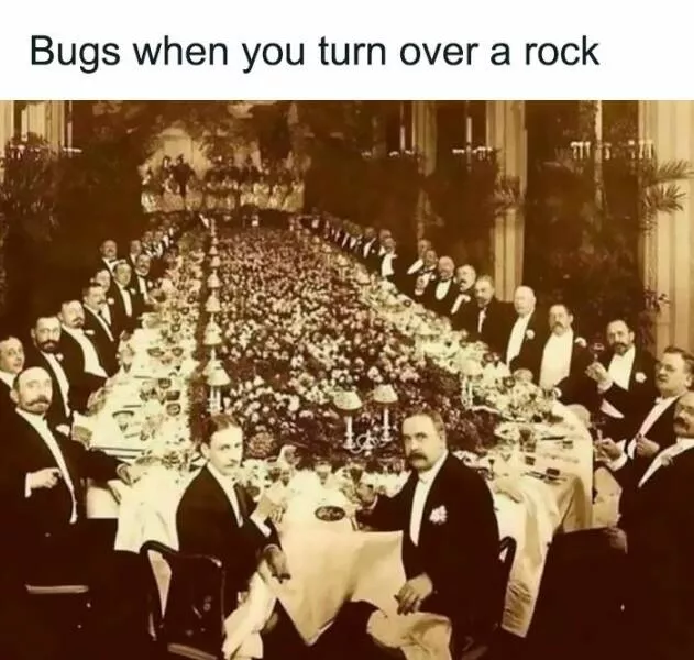 Unexpected meme chaos that hits just right - #11 