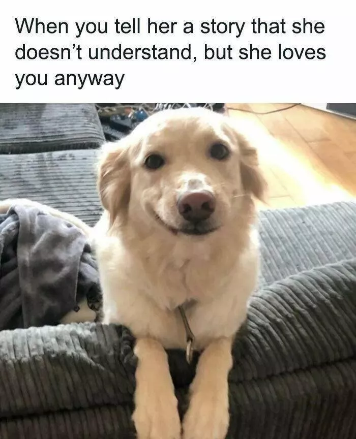 Unexpected meme chaos that hits just right - #16 