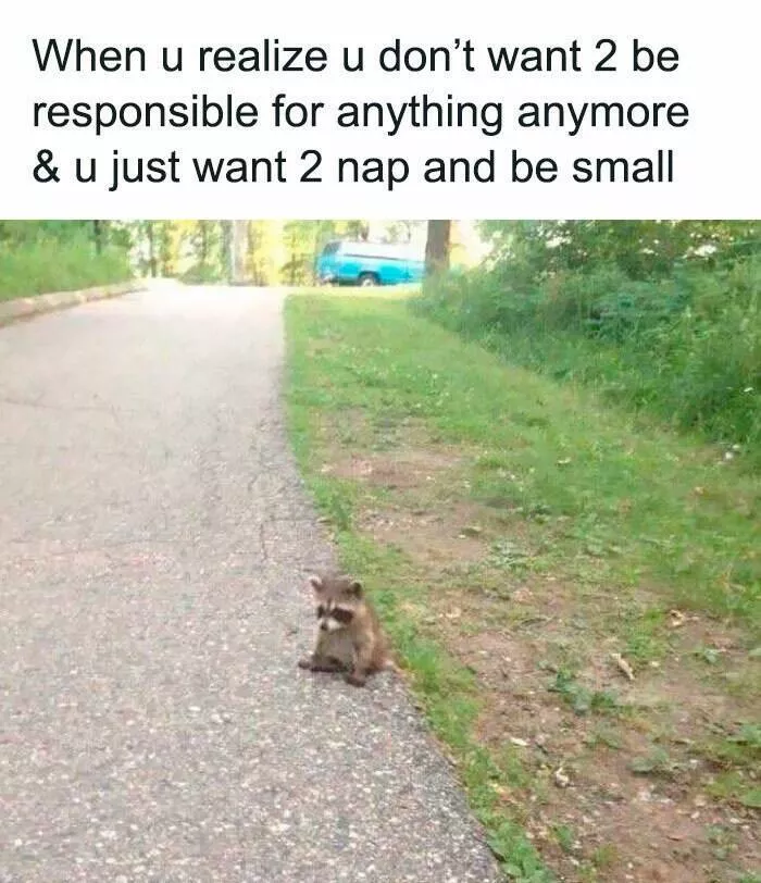 Unexpected meme chaos that hits just right - #17 