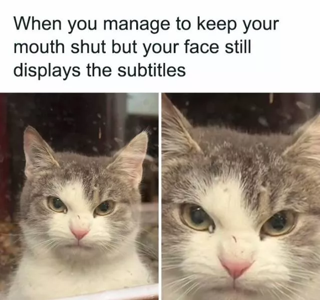 Delires de memes aleatoires que vous ne saviez pas vouloir - #18 