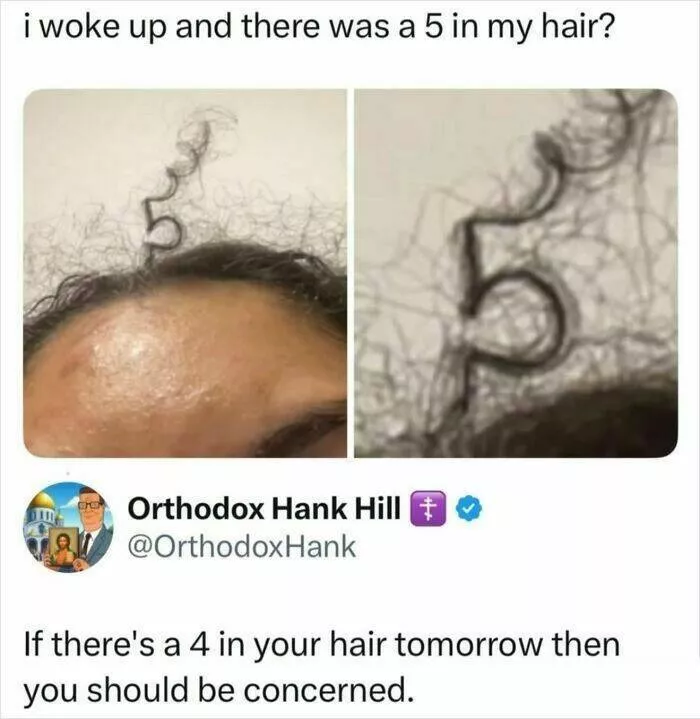 Unexpected meme chaos that hits just right - #22 