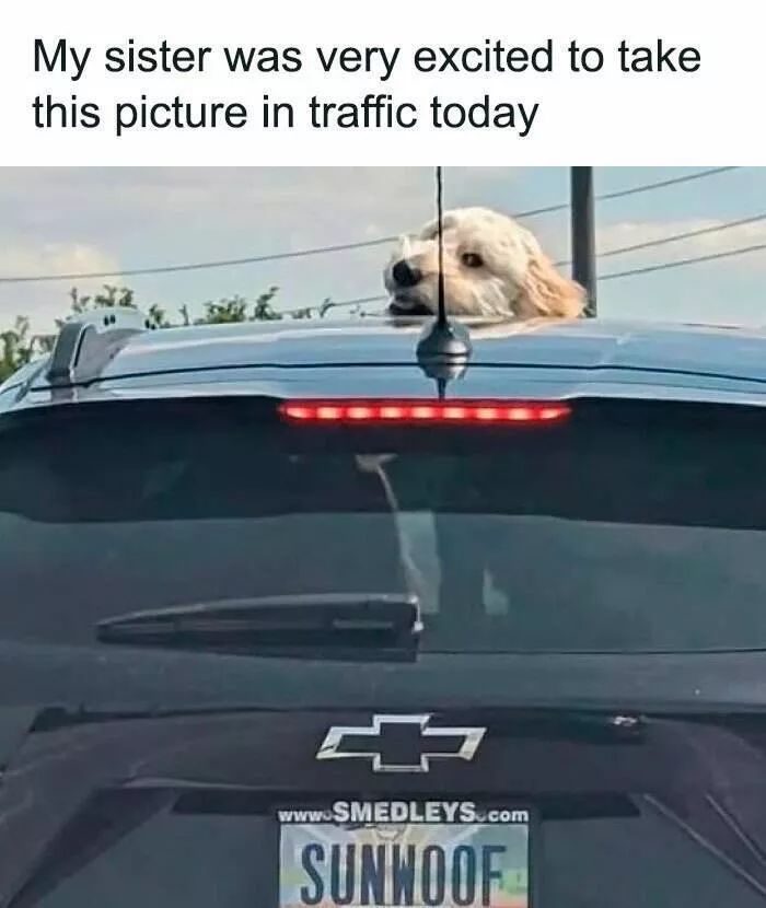 Unexpected meme chaos that hits just right - #25 