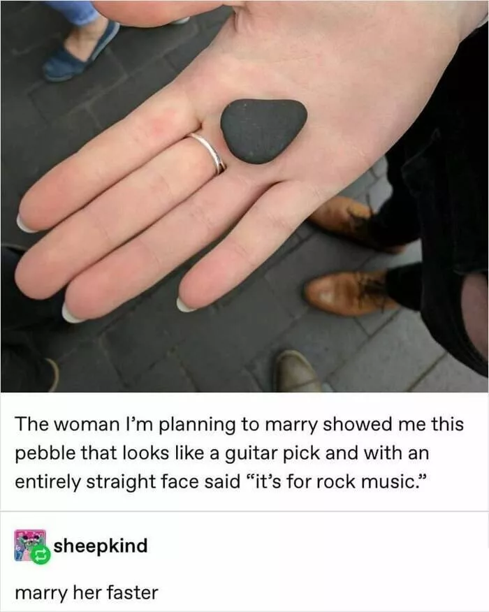 Unexpected meme chaos that hits just right - #27 