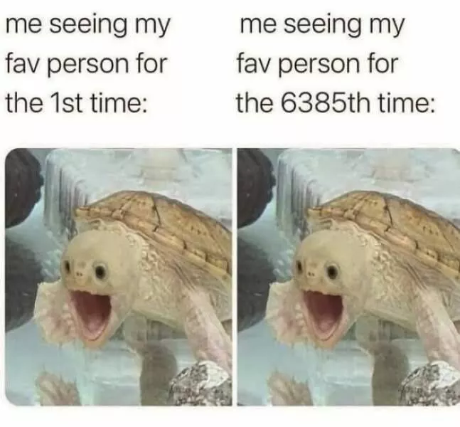 Unexpected meme chaos that hits just right - #36 