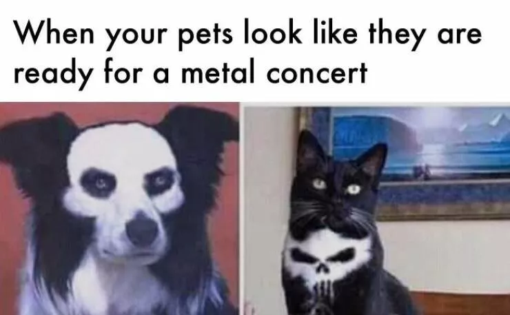 Unexpected meme chaos that hits just right - #44 