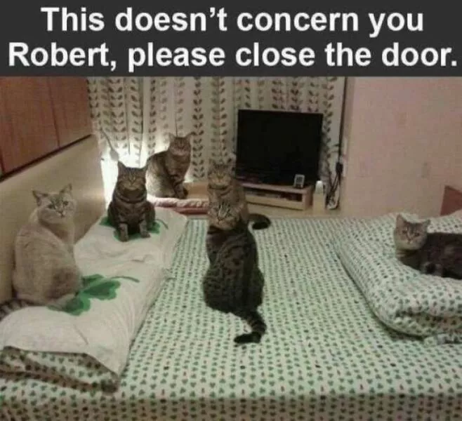 Unexpected meme chaos that hits just right - #50 