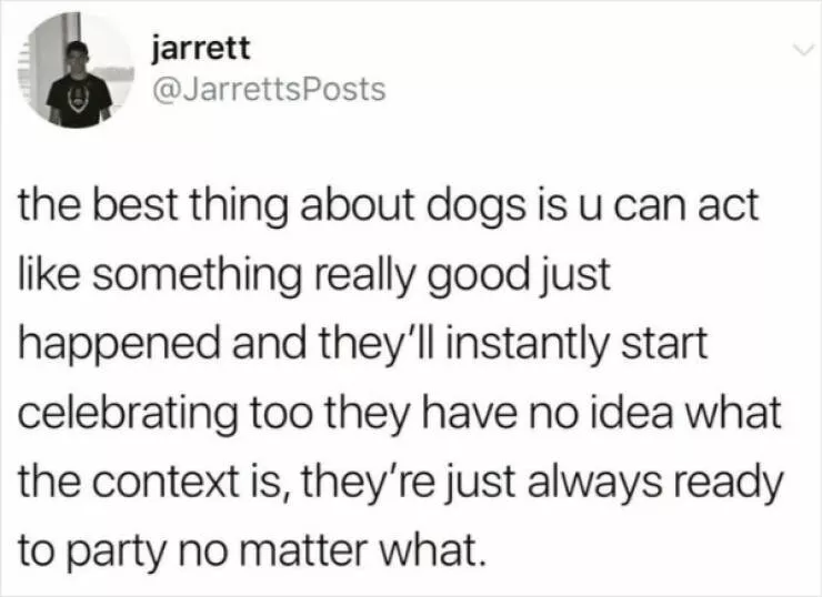 Fluffy buddies that lift your spirits instantly - #19 