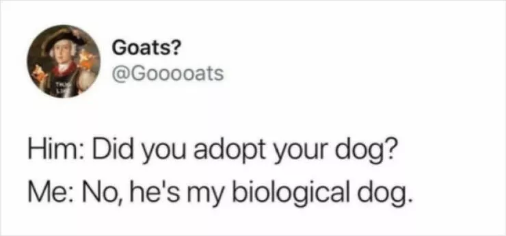 Fluffy buddies that lift your spirits instantly - #22 