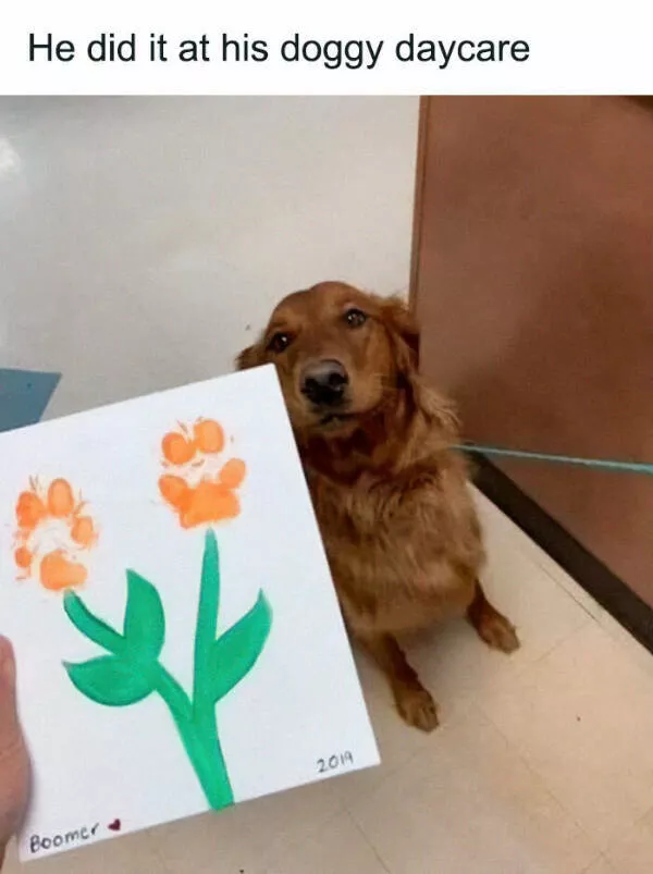 Fluffy buddies that lift your spirits instantly - #28 