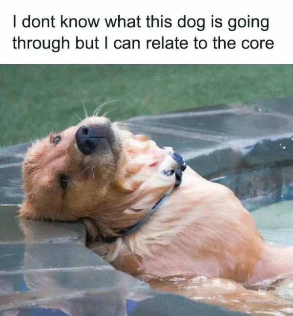 Fluffy buddies that lift your spirits instantly - #9 