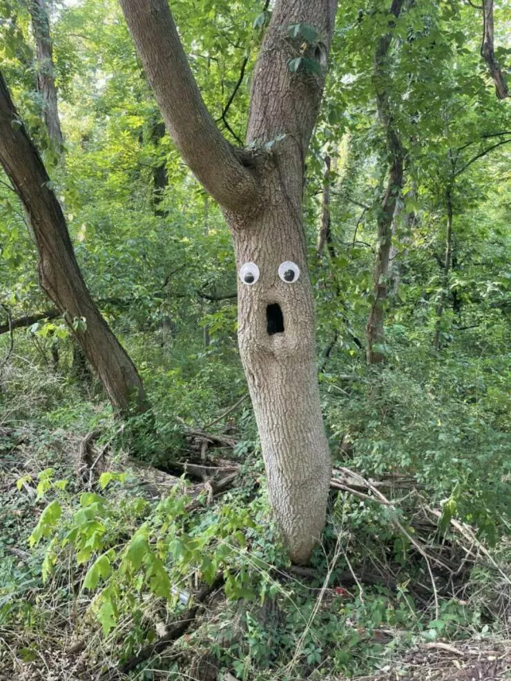 Picdump 1040 - #19 