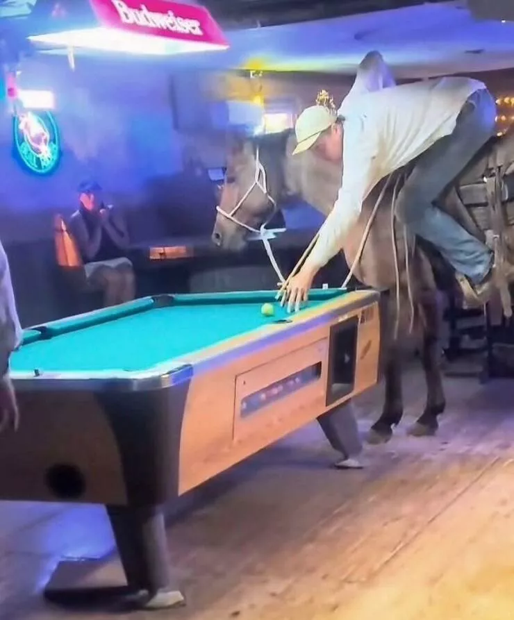 Picdump 1041 - #14 