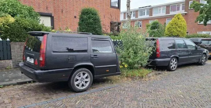 Picdump 1041 - #30 