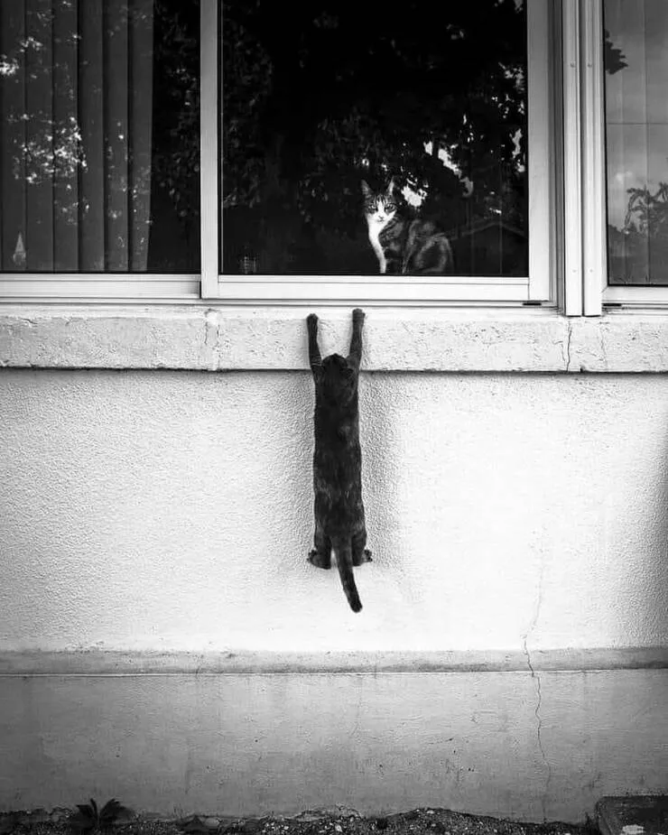 Picdump 1041 - #8 