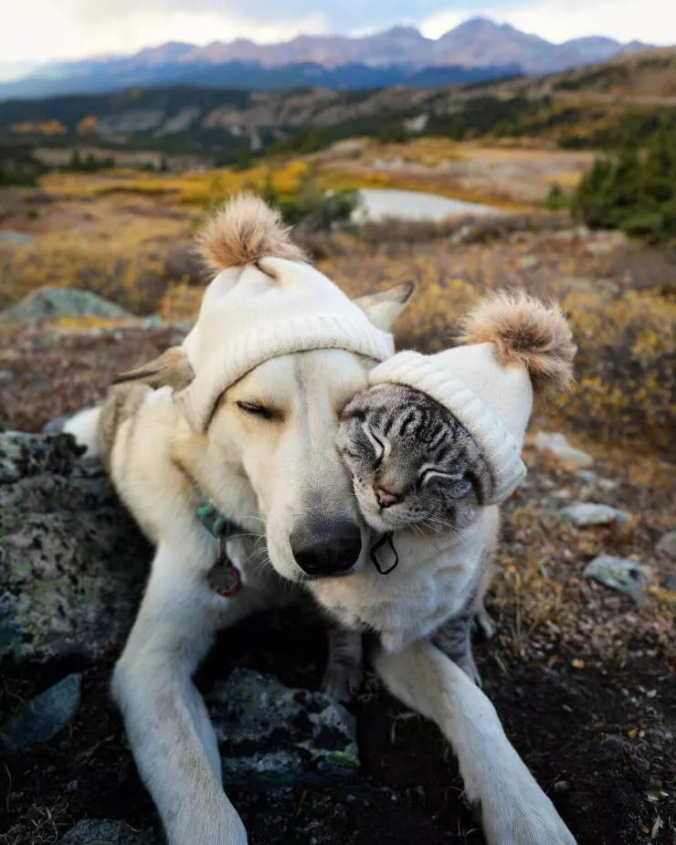 Picdump 1042 - #5 