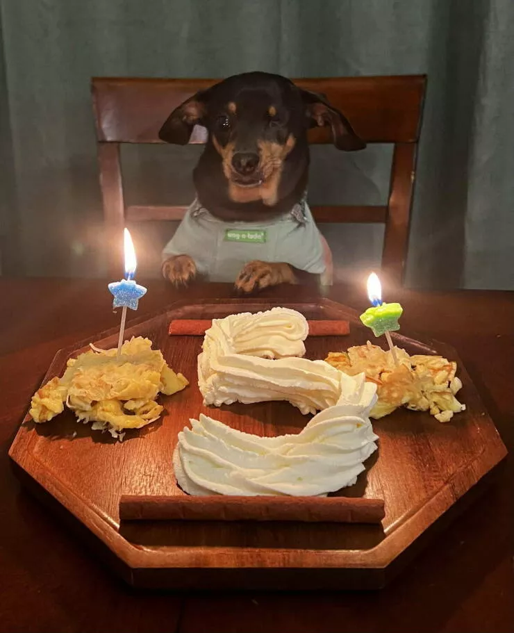 Picdump 1042 - #6 