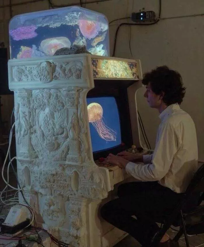 Le cote sauvage du net image apres image - #12 