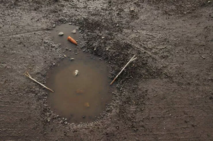 Le cote sauvage du net image apres image - #22 