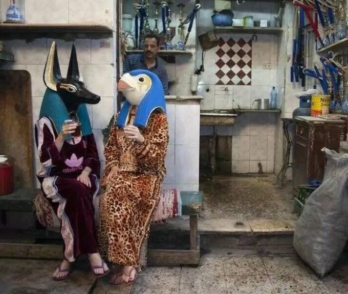Le cote sauvage du net image apres image - #25 