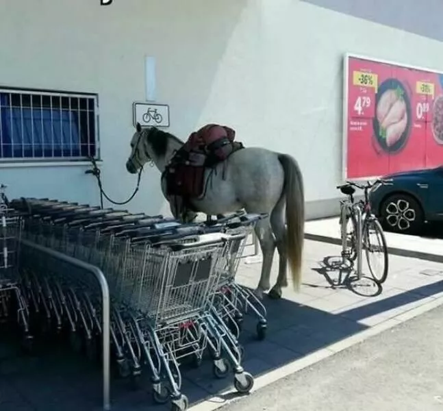 Le cote sauvage du net image apres image - #28 