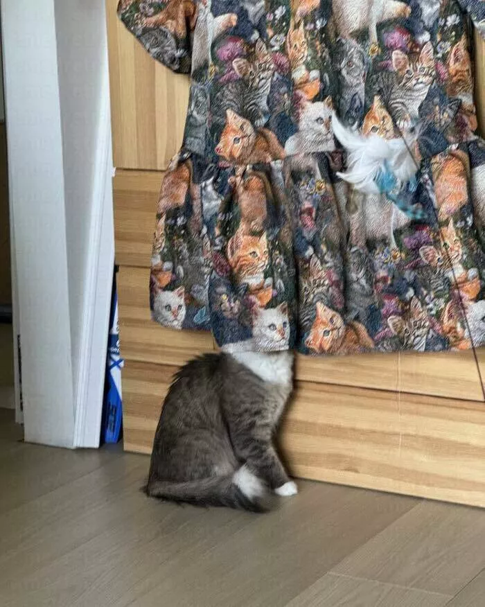 The internet unleashed one crazy pic at a time - #35 