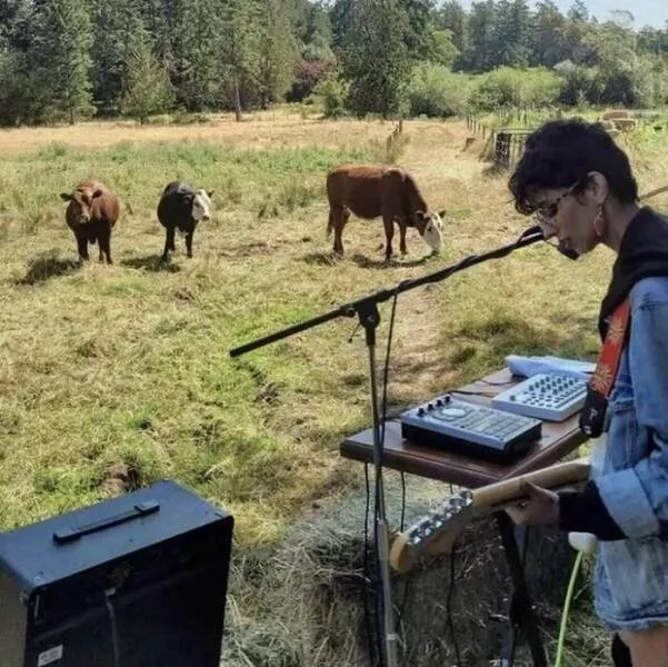 Le cote sauvage du net image apres image - #38 