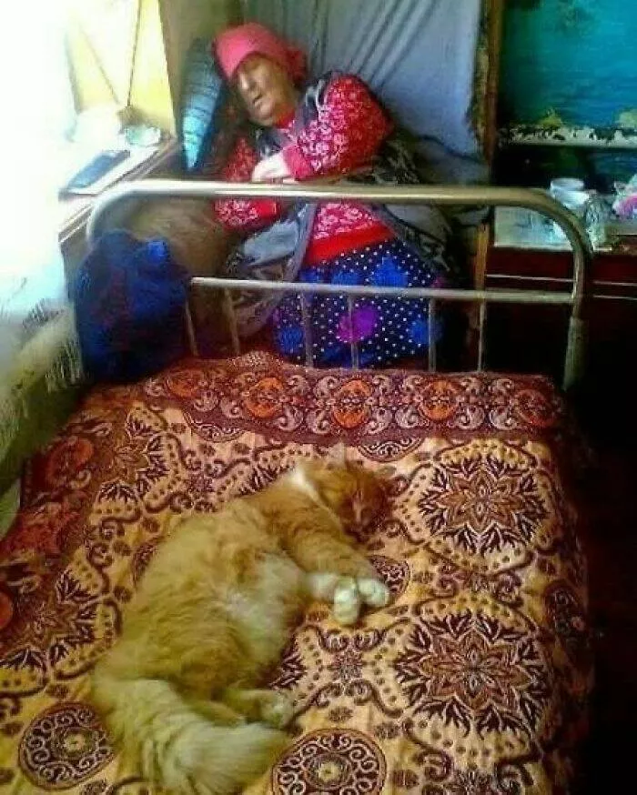 The internet unleashed one crazy pic at a time - #42 