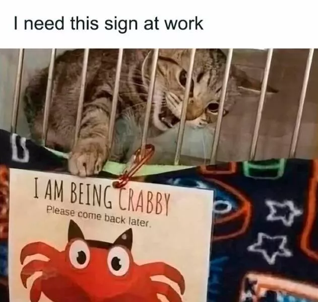 Workplace memes for when the grind breaks you - #19 