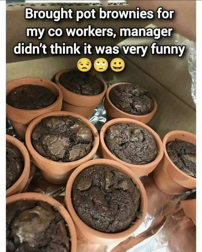 Workplace memes for when the grind breaks you - #20 