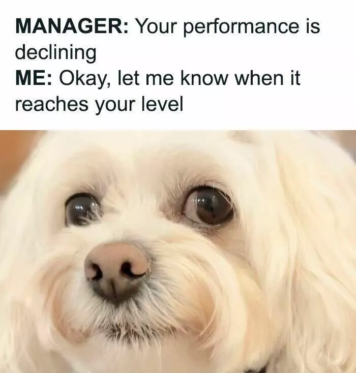 Memes de boulot pour craquer en silence - #22 