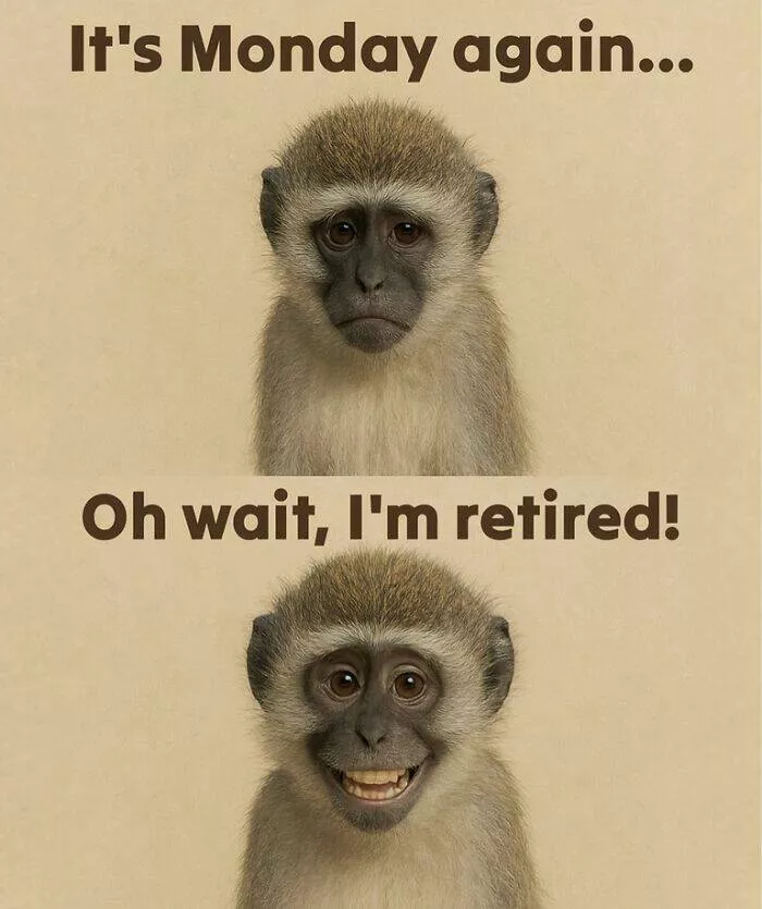 Memes de boulot pour craquer en silence - #27 