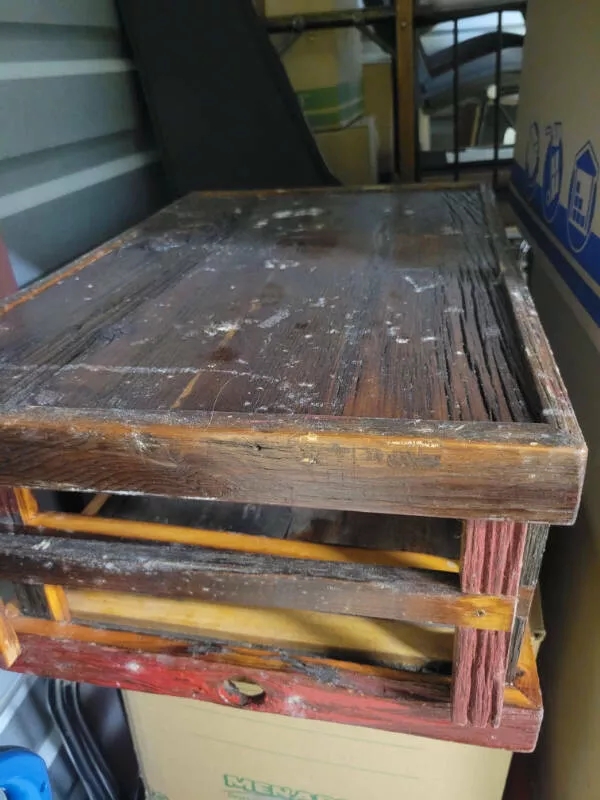 Juste une sale journee - #9 Mon Box De Stockage Était Moisi Après 1 An—Tout Est À Jeter