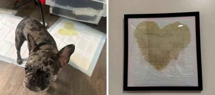 Quand le bricolage tourne au desastre - #23 