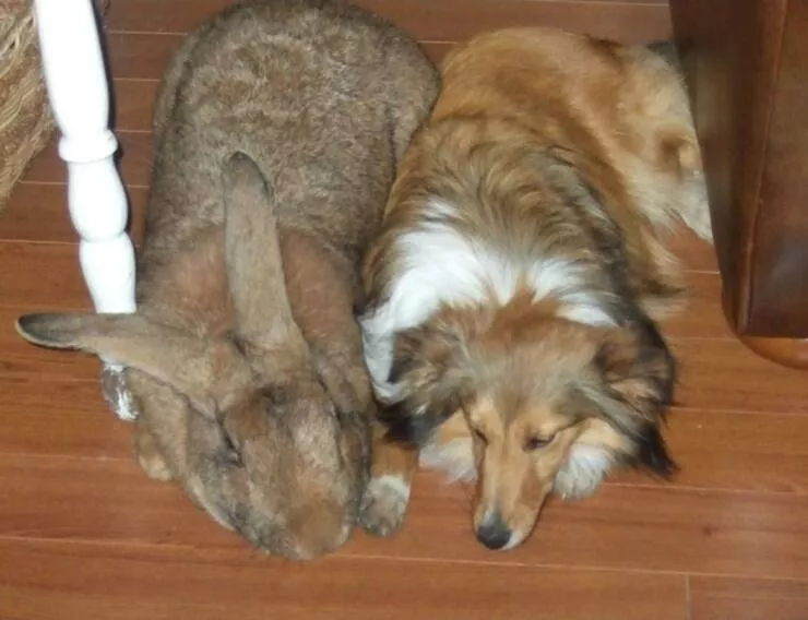 Picdump 1044 - #26 