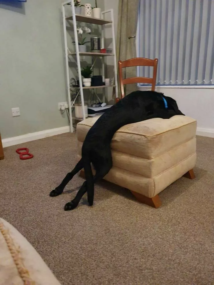 Picdump 1044 - #9 