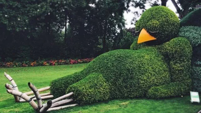 Picdump 127 - #79 Picdump 127 - #79