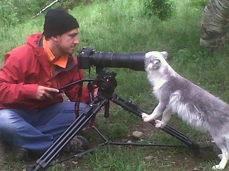 When nature lends a helping paw to photographers - #10 
