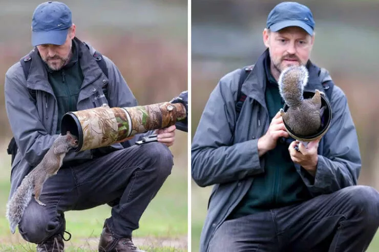 When nature lends a helping paw to photographers - #14 
