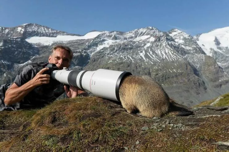 When nature lends a helping paw to photographers - #15 