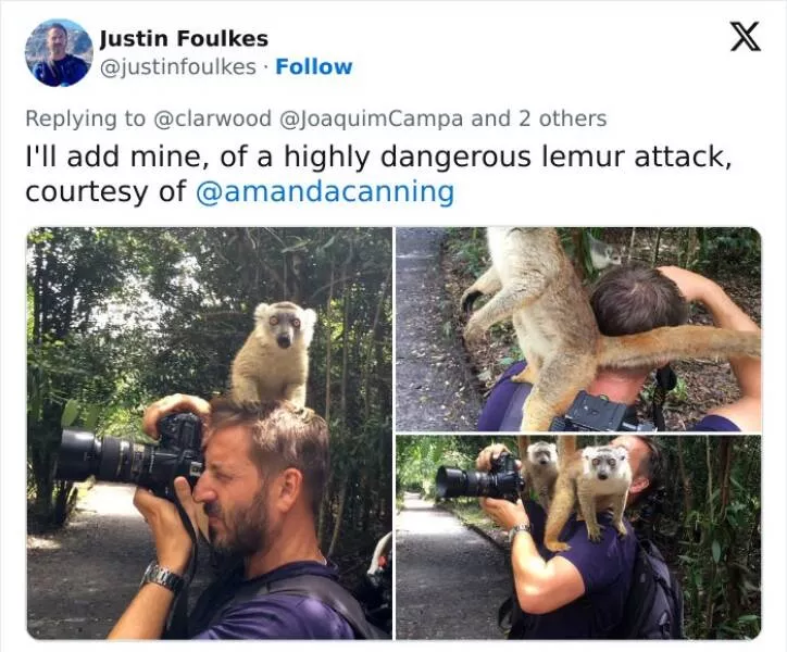 When nature lends a helping paw to photographers - #19 
